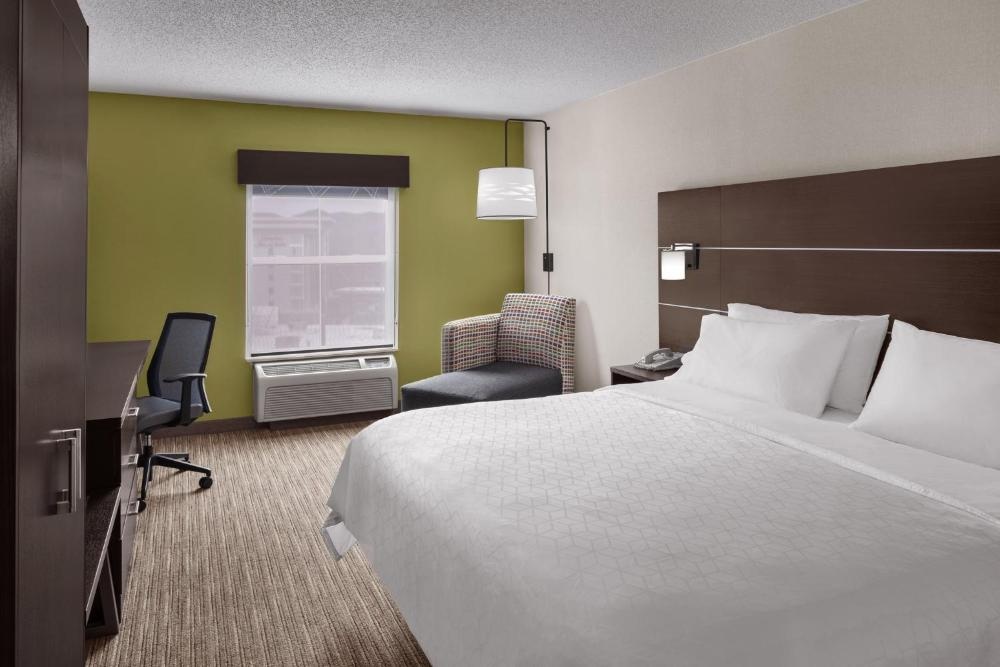 Holiday Inn Express & Suites Asheville SW - Área del Centro Comercial por IHG Imagen 10